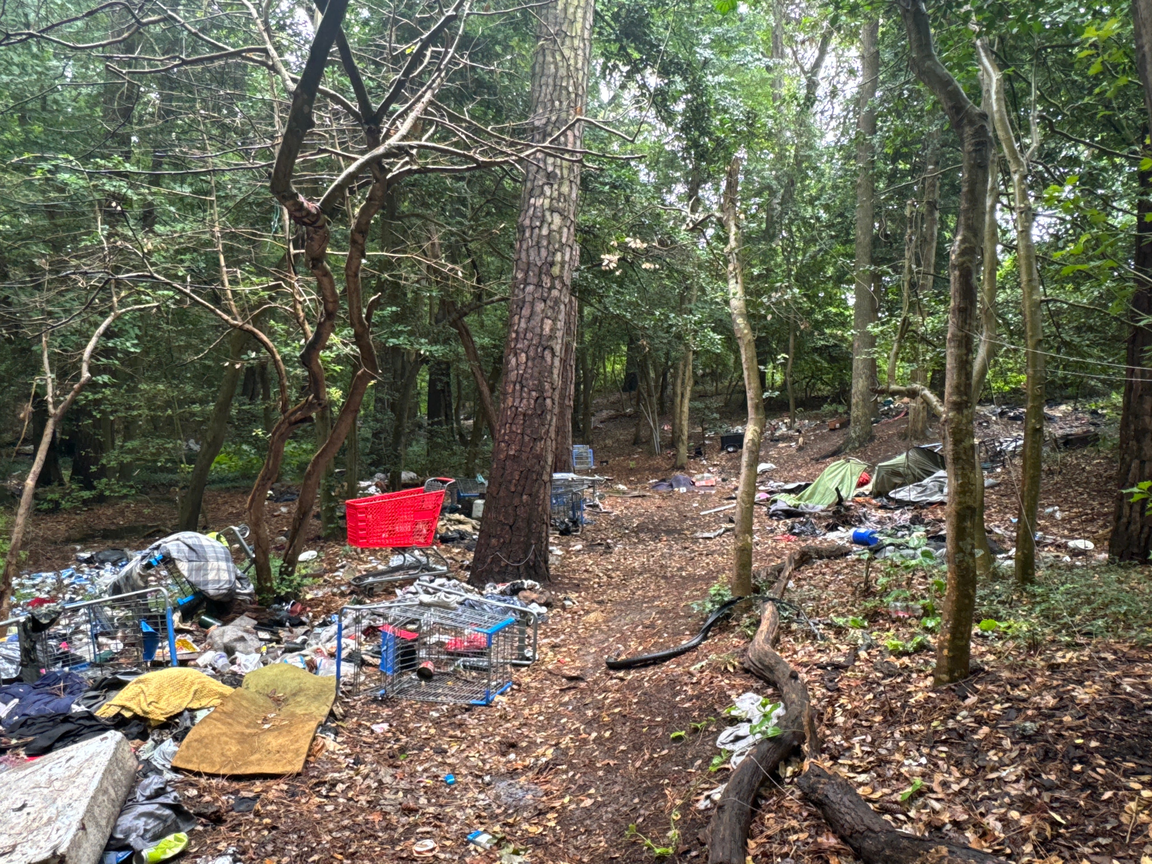 As housing crisis worsens, homeless forced to leave woods along Coastal Highway