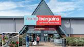 Home Bargains shoppers clearing shelves of lovely plant scanning for just £1.99