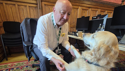 MP's guide dog aims for Larry the cat's popularity