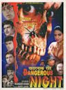 Dangerous Night (film)