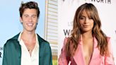 Shawn Mendes and Camila Cabello Show Off P.D.A. at Taylor Swift's Eras Tour amid Reconciliation Rumors