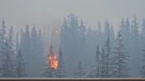 Canada: les images impressionnantes du feu de forêt qui a éclaté dans un parc national