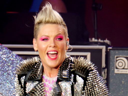 Pink 'slipped under the radar' during a family day out