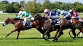 Adaay in Devon set for York outing