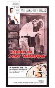 Look in Any Window