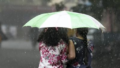 Tamil Nadu Weather Update: RMC Issues Yellow Alert As Heavy Rains To Lash 20 Districts