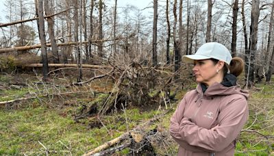 Halifax and Shelburne County residents on edge as wildfire anniversaries approach