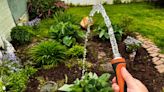 How Often Should You Water Your Garden in Extremely Hot Weather? We Asked an Expert