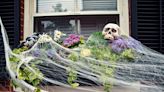 Experts warn of Halloween decoration horrors for wildlife: ‘This is obviously not a new issue’