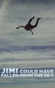 Jimi Could Have Fallen from the Sky