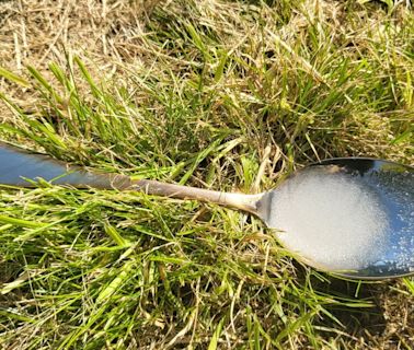 Gardeners urged to use spoon of 'sugar water' in garden this weekend