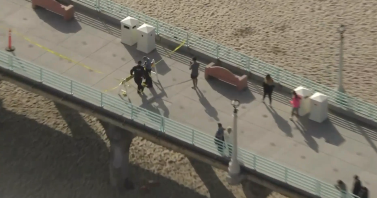Swarm of bees prompts temporary closure of Manhattan Beach pier