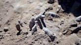 Iraq recovers 139 bodies, human remains in mass grave from IS-rule
