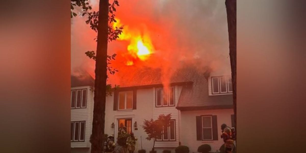 2 dogs escape large house fire in Roswell