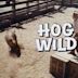 Hog Wild