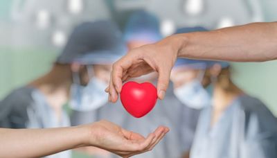 Día de la Donación de Órganos: ¿por qué se celebra hoy en la Argentina?