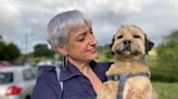 La lección de vida de 'Vladi', el perro que cayó de un acantilado en Llanes: 'No hay que rendirse nunca'