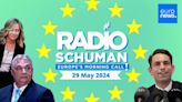 Which parties lead social media ad spending ahead of EU elections? | Radio Schuman podcast
