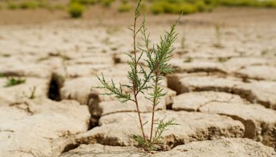 Comienza otoño con las previsiones de que vuelva a ser más cálido de lo normal y ligeramente más seco | Sociedad | Cadena SER