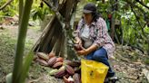 Un tercio de las mujeres latinoamericanas quiere poner en marcha un negocio para salir de la pobreza, según FMBBVA