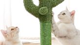 This Stylish Bestselling Cactus Cat Scratcher Is Only $16 on Amazon Right Now