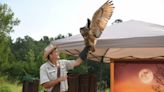 Falconry and beekeeping are hot hobbies in Maryland for 2024