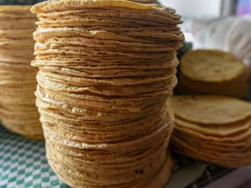 Cómo saber si es peligroso comer tortillas de maíz: señales de alerta