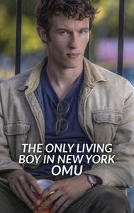 The Only Living Boy in New York (film)