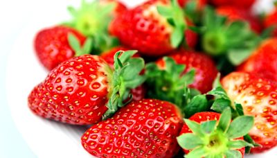 農藝網紅挑戰在家種草莓！收成果實又大又紅 入口瞬間爆笑反轉