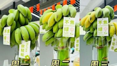 「禁止蕉綠」 陸青年流行辦公室種香蕉