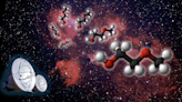 Buried in the Cat's Paw Nebula lies one of the largest space molecules ever seen