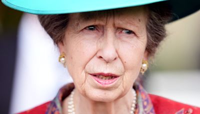 Princess Royal begins first public engagement since horse-related accident