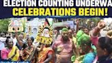 Lok Sabha Elections Results 2024: TDP, BJP, DMK, TMC Supporters Celebrate Initial Trends | Oneindia