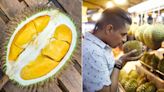 Durian Runtuh: Could Malaysia's durian season mean a windfall for Singapore?