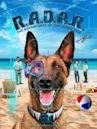 R.A.D.A.R.: The Adventures of the Bionic Dog