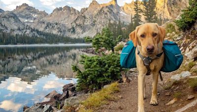 8 dog-friendly hikes found around Colorado