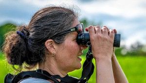 In Cornwall, newly conserved grasslands are for the birds