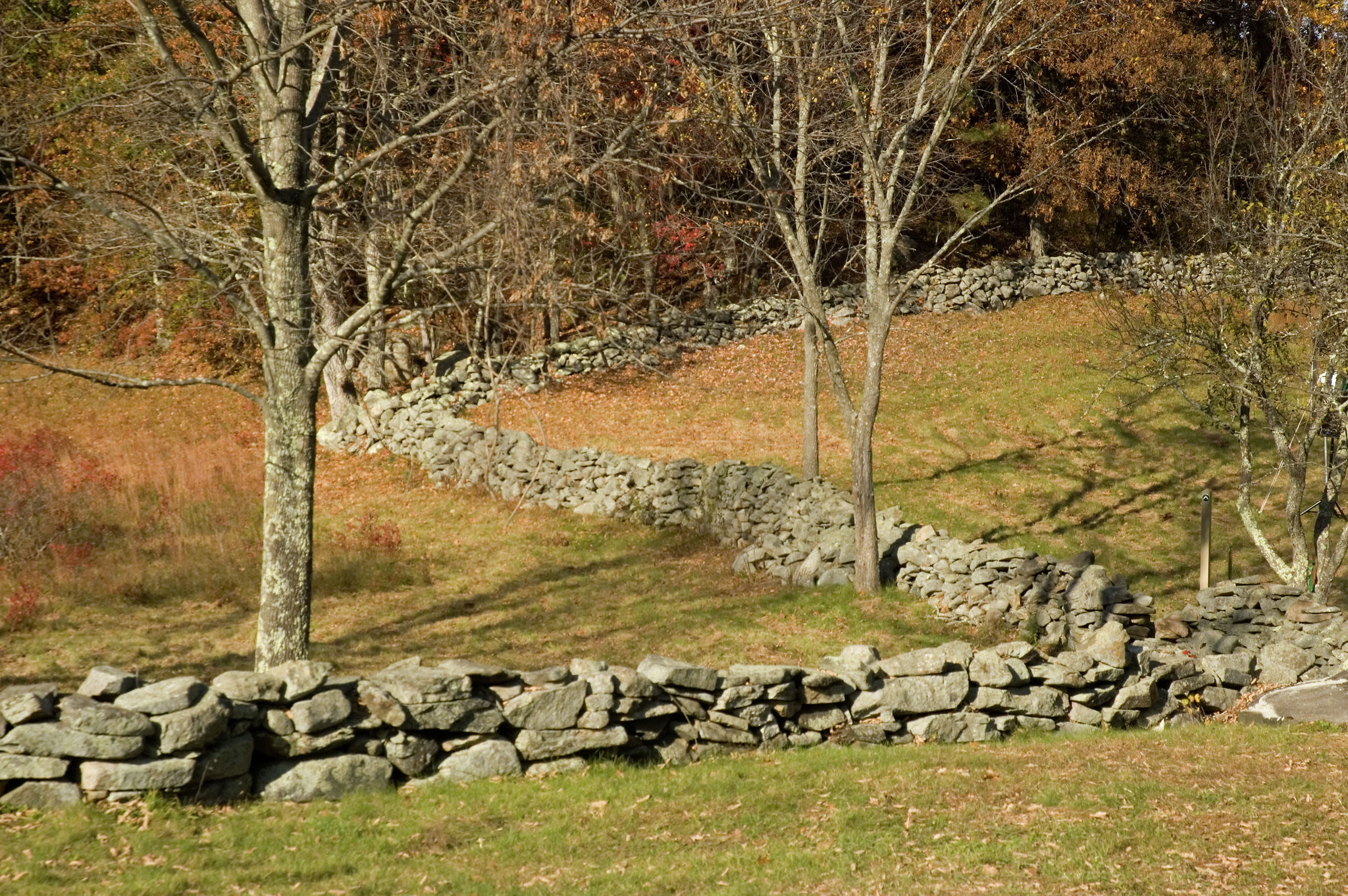 Connecticut's stone walls have ties to the last ice age and 18th-century farmers. Professional 'wallwatcher' shares history.