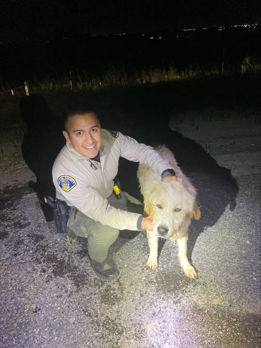 Tulare County deputies rescue dog from canal