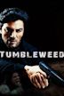 Tumbleweed: A True Story