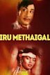 Iru Medhaigal