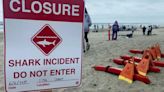 Stretch of California beach closed after shark bites man during group swim