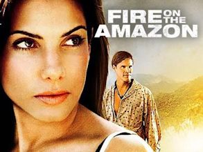 Fire on the Amazon