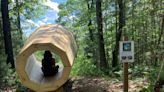 Up North ‘nature megaphone’ amplifies sweet sounds of the forest