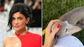 Kylie Jenner Shares Sweet Video of Herself Spending Time with Her Dog Norman: 'My Boy Getting Old'