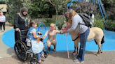 Therapeutic miniature horse visits patients at Seattle Children's