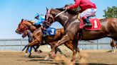 Preakness Stakes 2024: Cheat Sheet for racing form, past performances, post positions, odds after Muth scratch