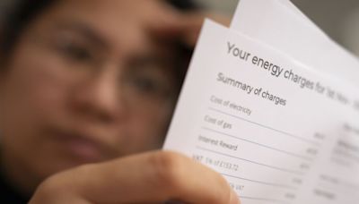 British Gas, EON, EDF and Octopus customers to get £219 boost from summer