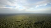 'Amazonia' bonds in 2024 seen a tough sell for some By Reuters