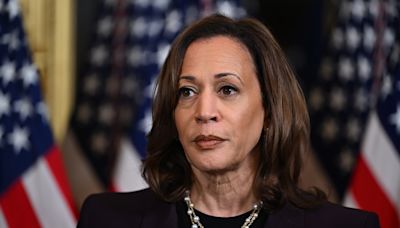 Behind hoopla, Democrats anxious about Harris